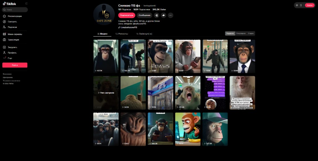 TikTok @berlogatemki — скрин профиля с просмотрами